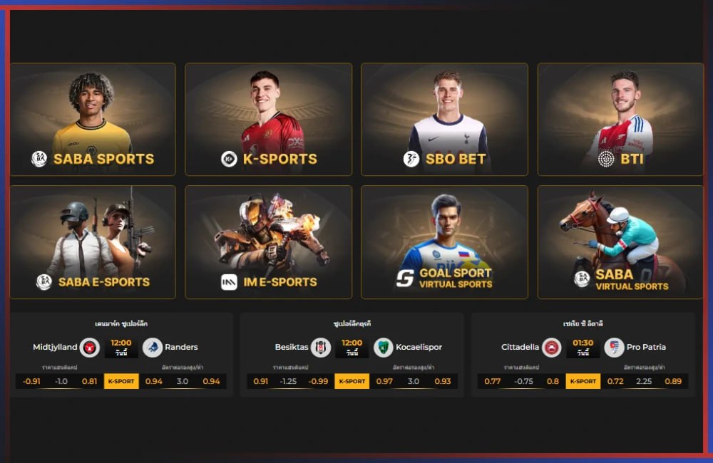 คู่มือแทงบอลออนไลน์ด้วยสูตร 101 1 คู่มือแทงบอล