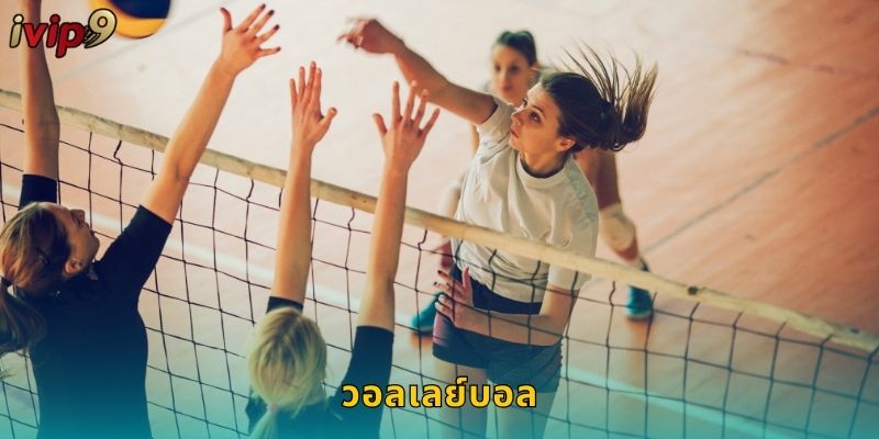 วอลเลย์บอล IVIP9 เดิมพันกีฬาสุดมันส์