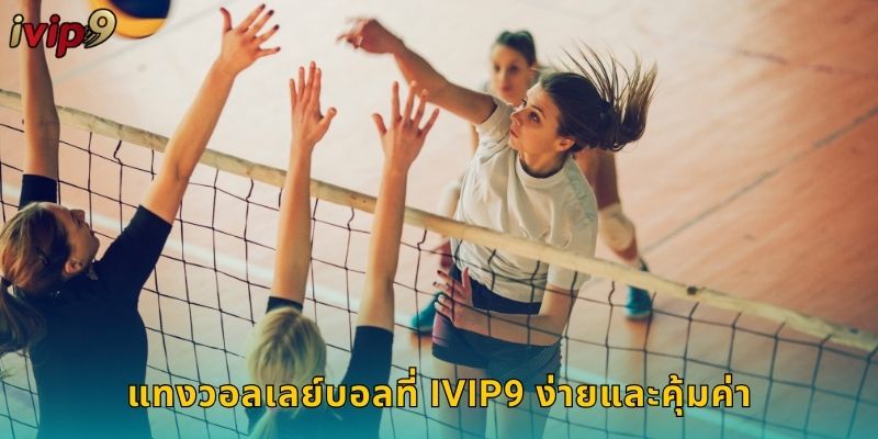 แทงวอลเลย์บอลที่ IVIP9 ง่ายและคุ้มค่า